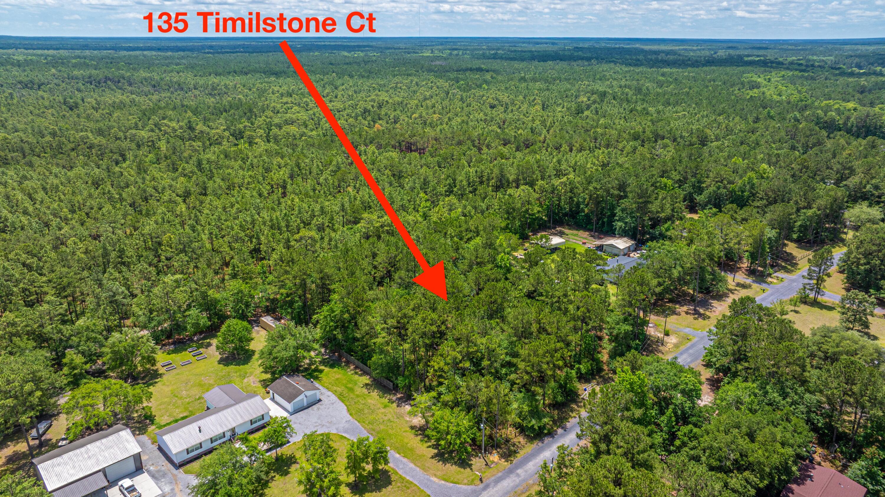 135 Timilstone Court Huger, SC 29450 - Photo 9 of 26 135TimilstoneCt030