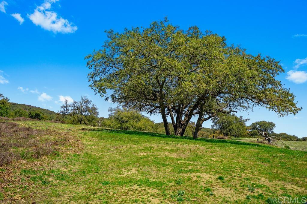25677 Mesa Grande Road Santa Ysabel, CA 92070 - Photo 17 of 28 a view of yard with green space