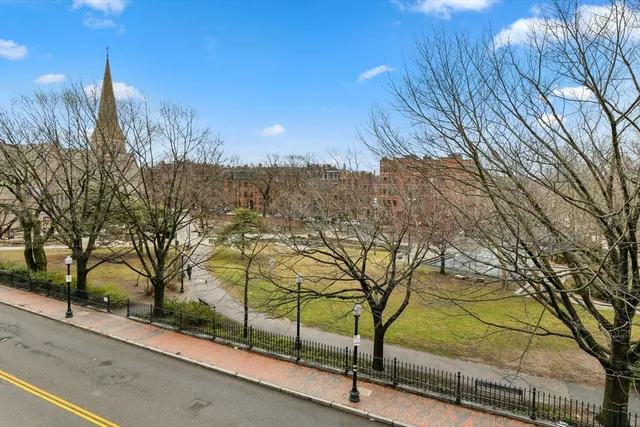 a view of a street with a tree
