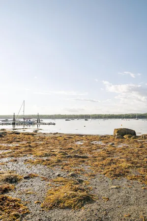 $549,500 | 58 Harbor View Drive, Unit 58, Stockton Springs, ME 04981
