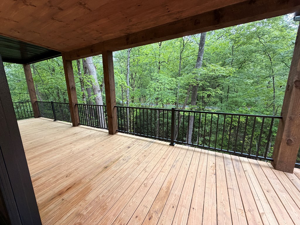 538 Hiawatha Trail Blue Ridge, GA 30513 - Photo 40 of 60