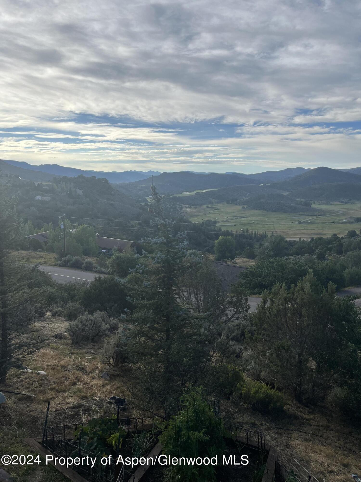 234 Light Hill Road Snowmass, CO 81654 - Photo 17 of 22 a view of a yard