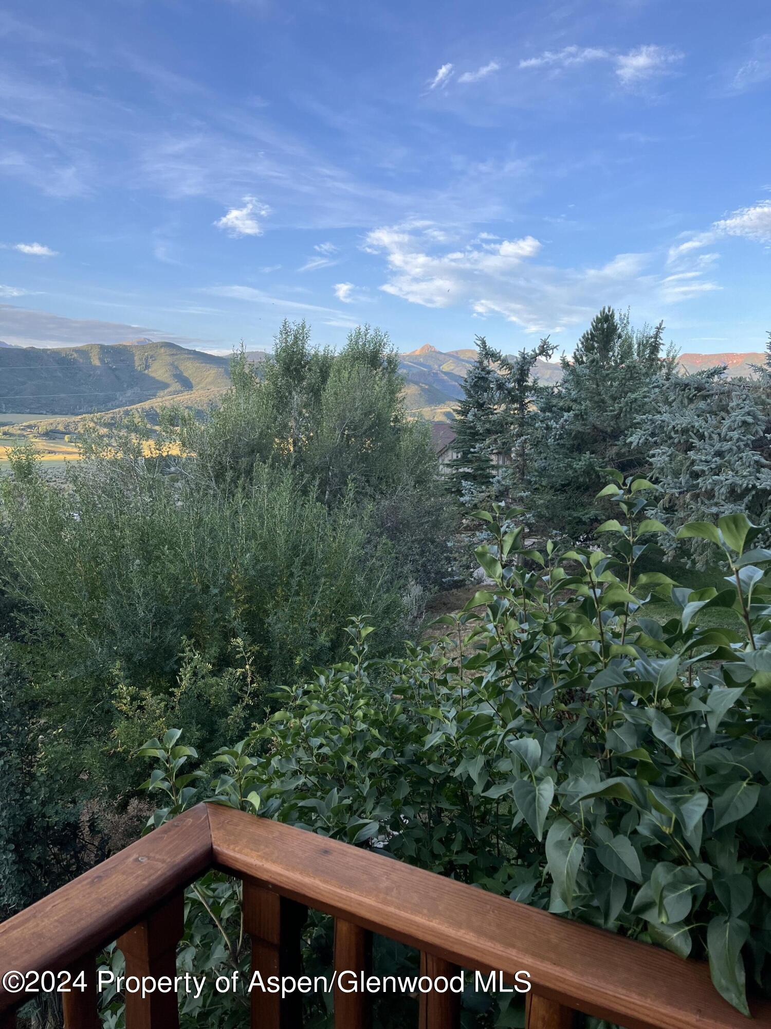 234 Light Hill Road Snowmass, CO 81654 - Photo 18 of 22 a view of a yard from a balcony