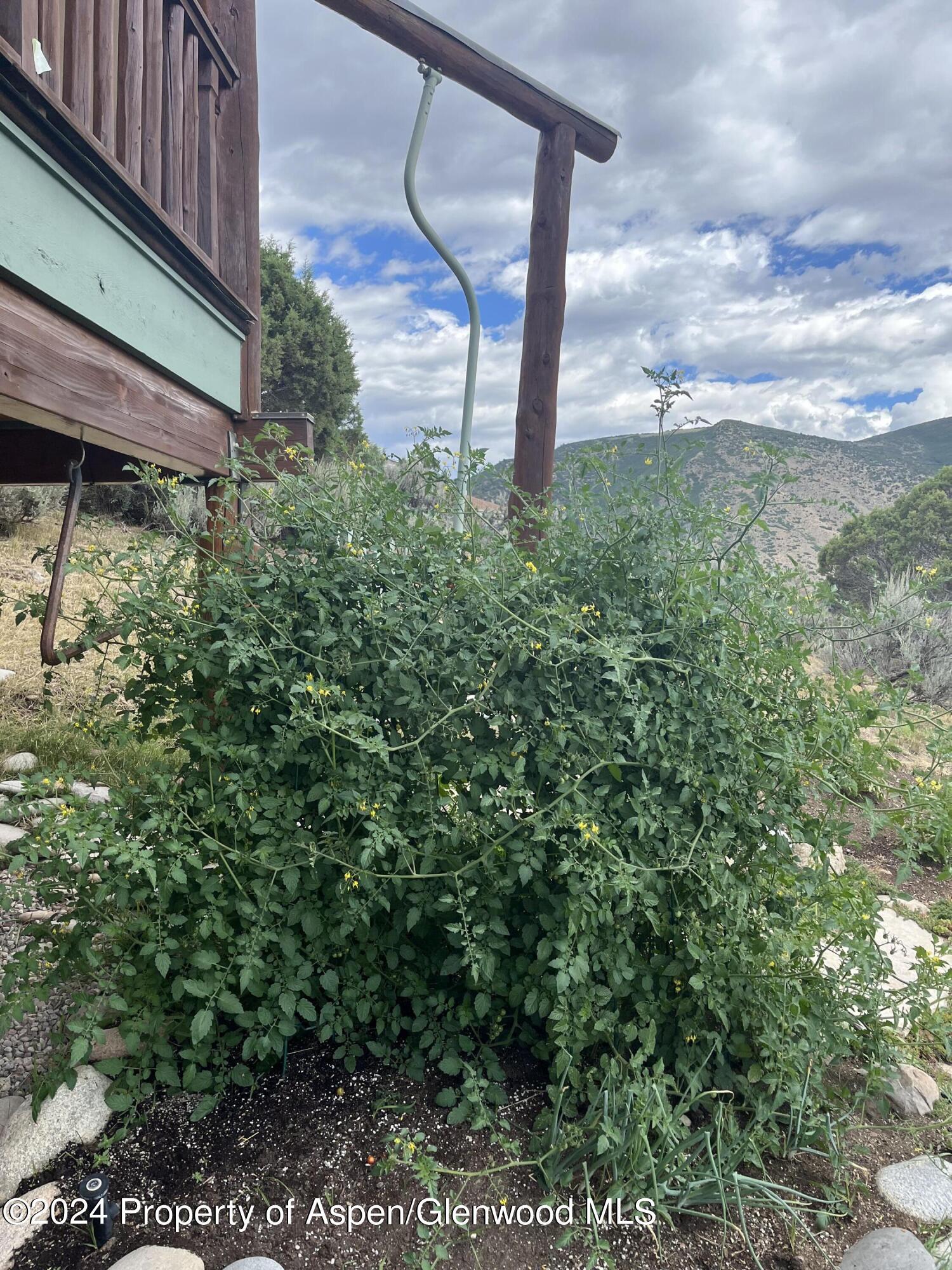 234 Light Hill Road Snowmass, CO 81654 - Photo 22 of 22 a view of a backyard