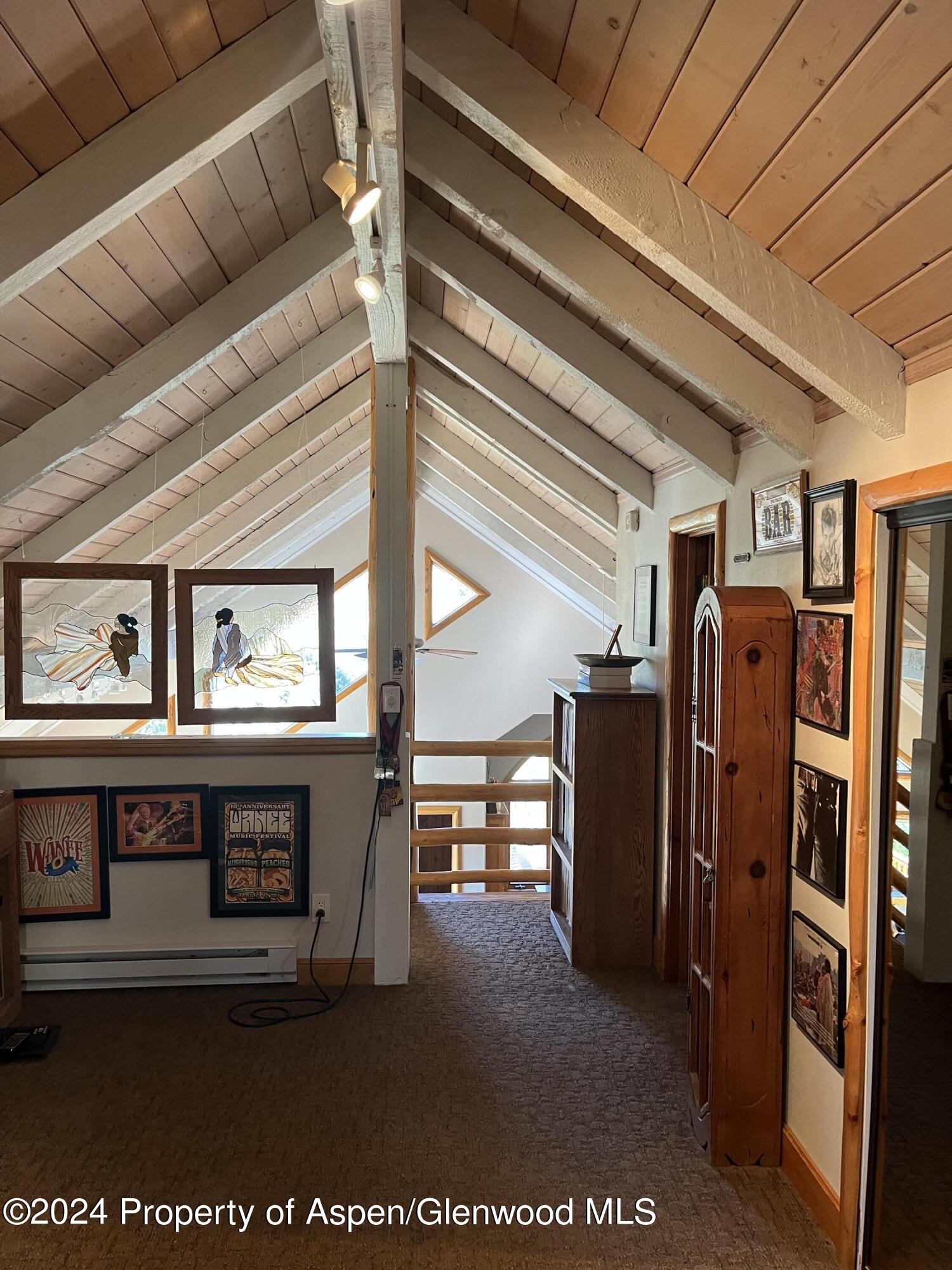 234 Light Hill Road Snowmass, CO 81654 - Photo 10 of 22 a view of water heater room