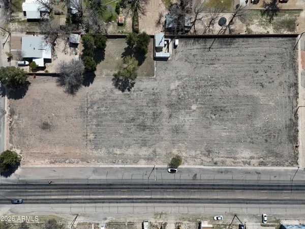 a view of a dry yard with trees