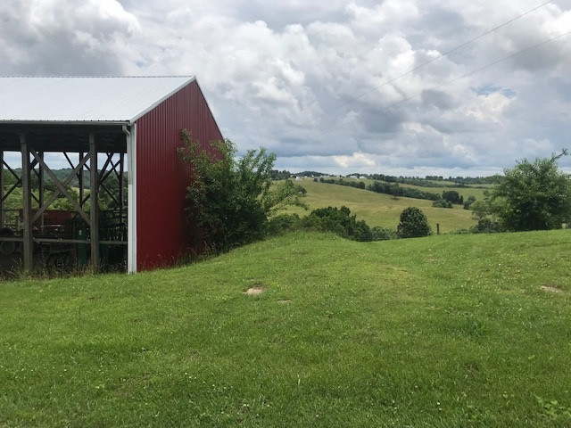 2519 Parina Road Brooksville, KY 41004 - Photo 24 of 35 Gallery Image 24