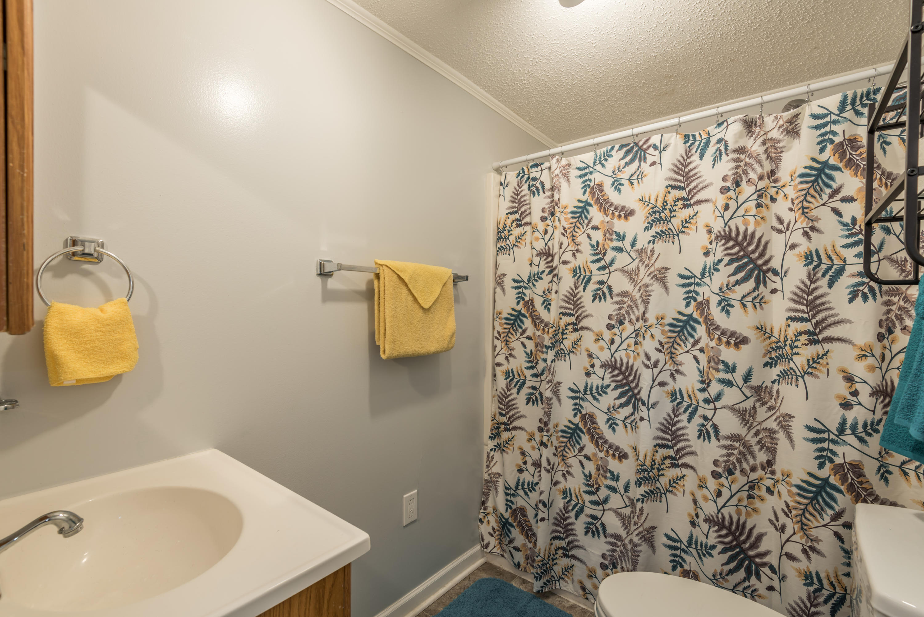 7728 Cedarcrest Road Knoxville, TN 37938 - Photo 27 of 39 7728CedarcrestRd-29