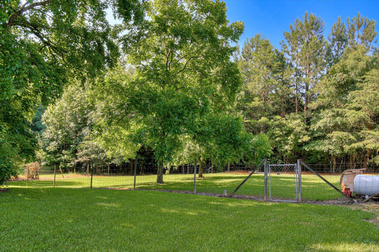 3271 White Tiger Road Appling, GA 30802 - Photo 54 of 59 54-154