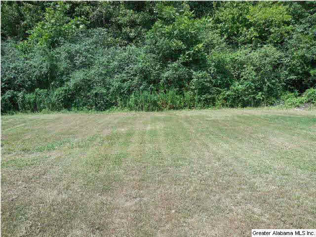 665 Painter Road Altoona, AL 35952 - Photo 16 of 20