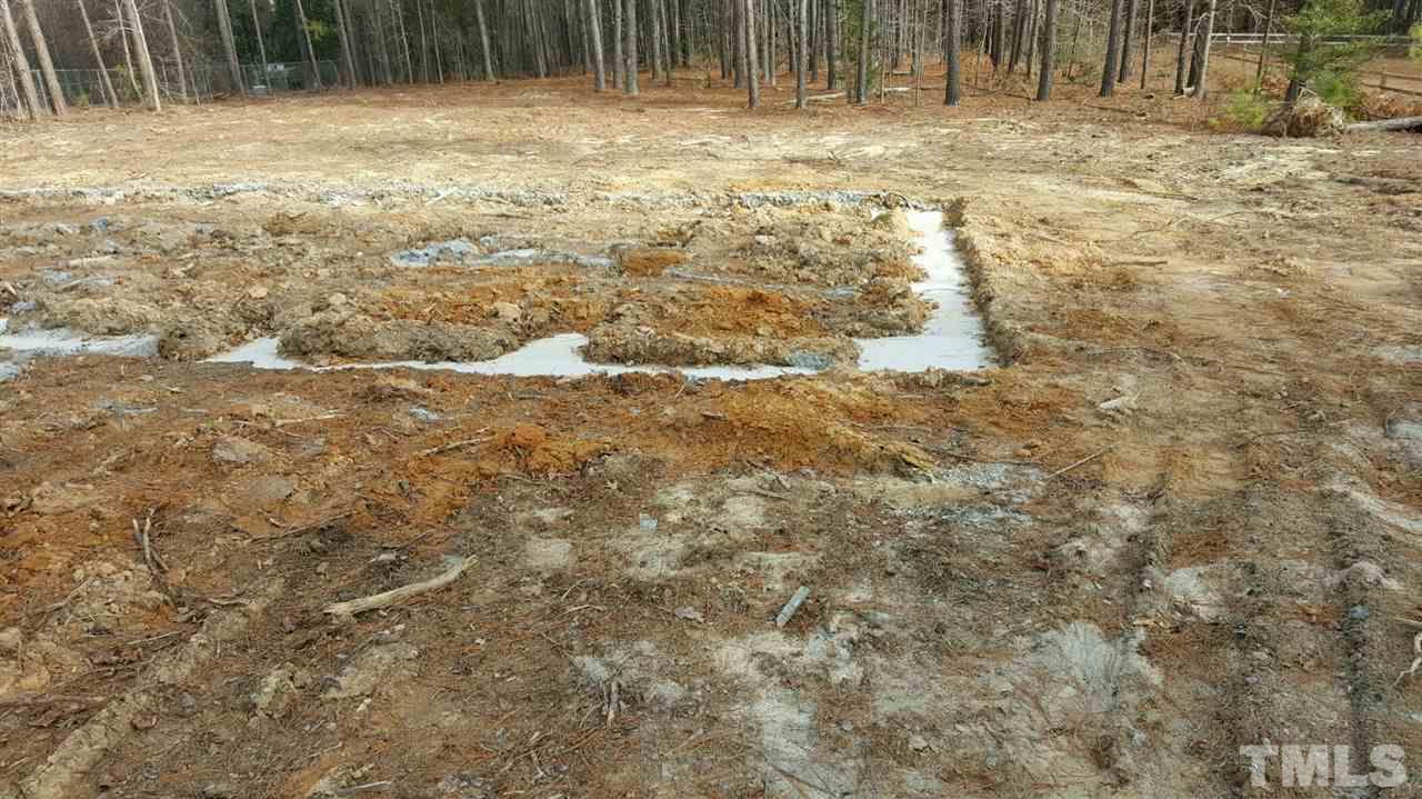 15 Rough Lane Louisburg, NC 27549 - Photo 2 of 3 Gallery Image 2