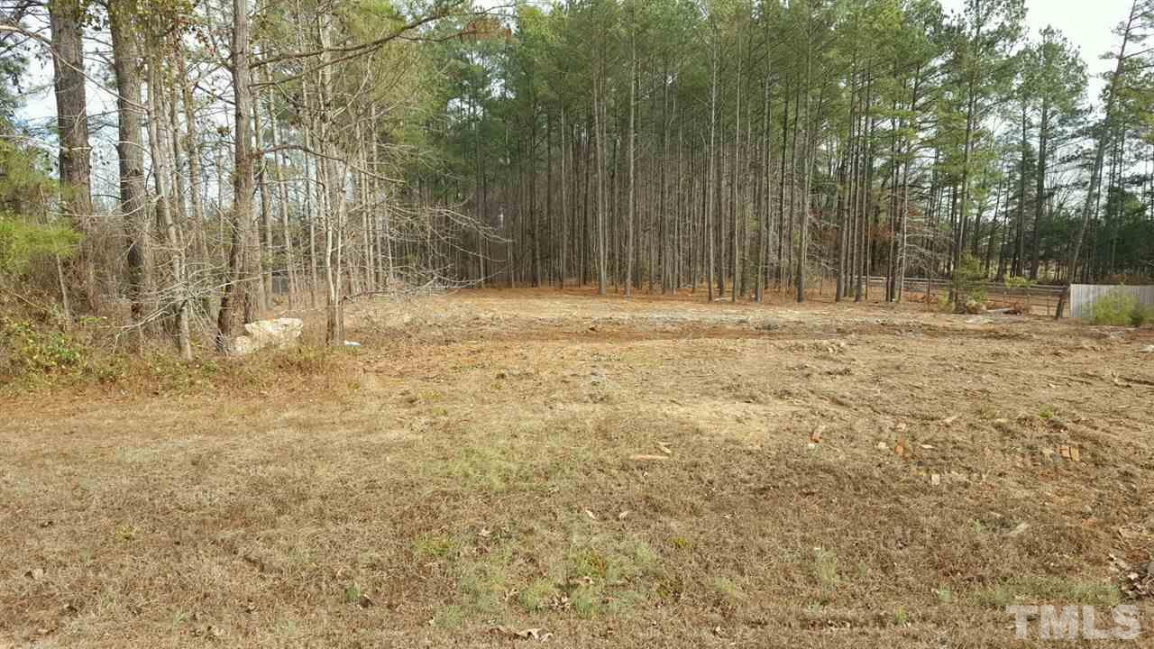 15 Rough Lane Louisburg, NC 27549 - Photo 3 of 3 Gallery Image 3
