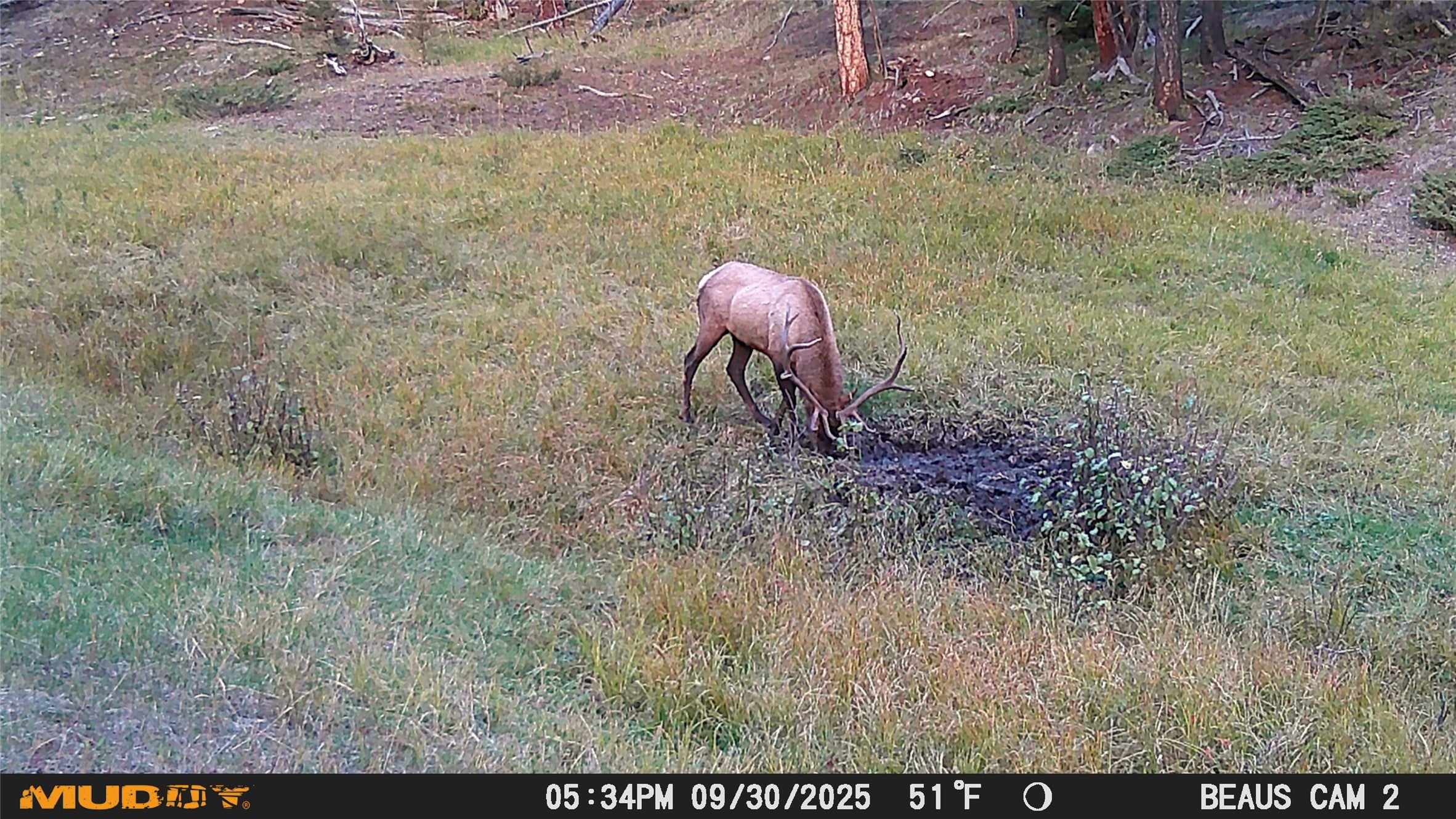Lot 7 Ruby Mine Road Butte, MT 59701 - Photo 21 of 25 Gallery Image 21