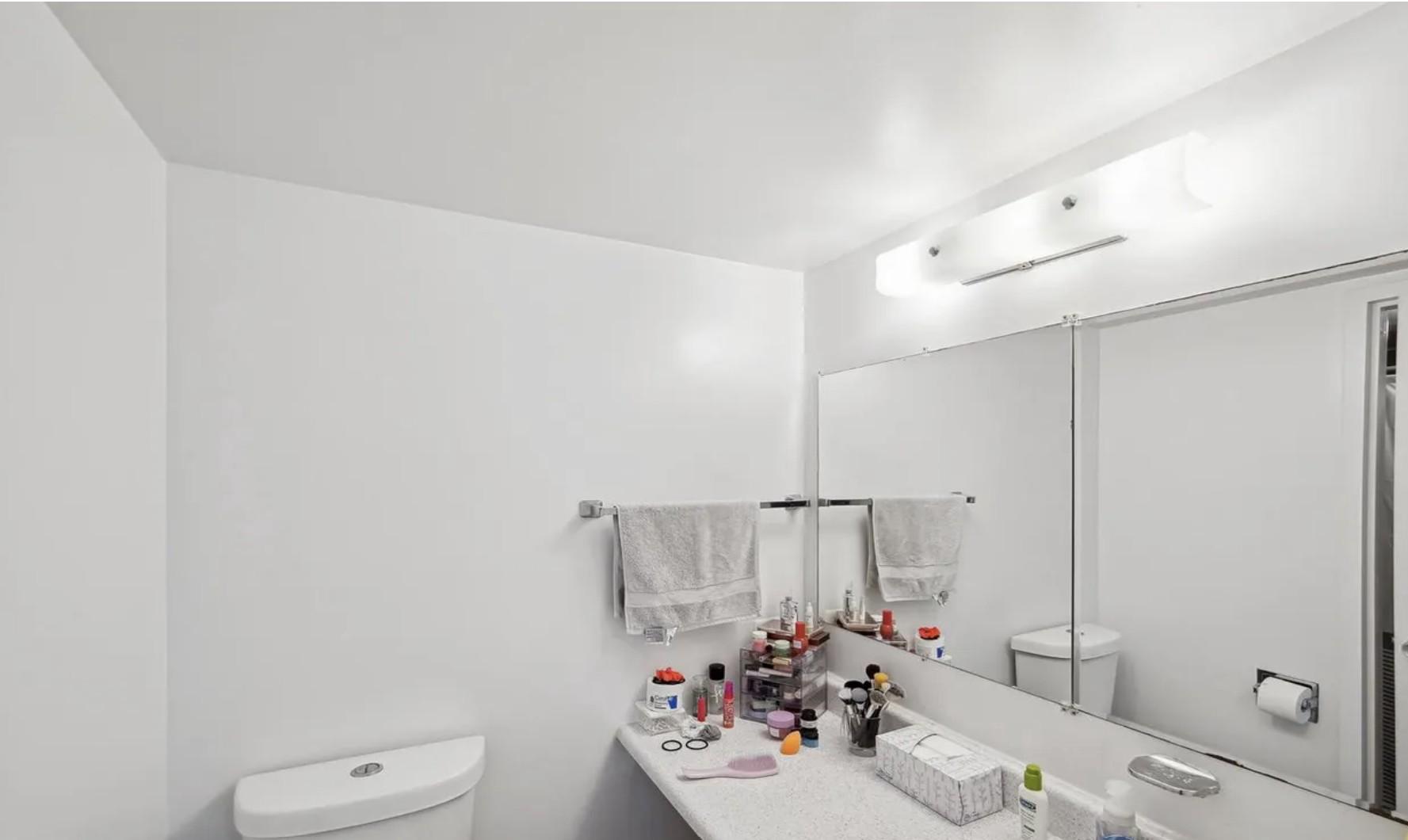 1836 Metzerott Road, Unit 1720 Hyattsville, MD 20783 - Photo 10 of 35 Hall bathroom