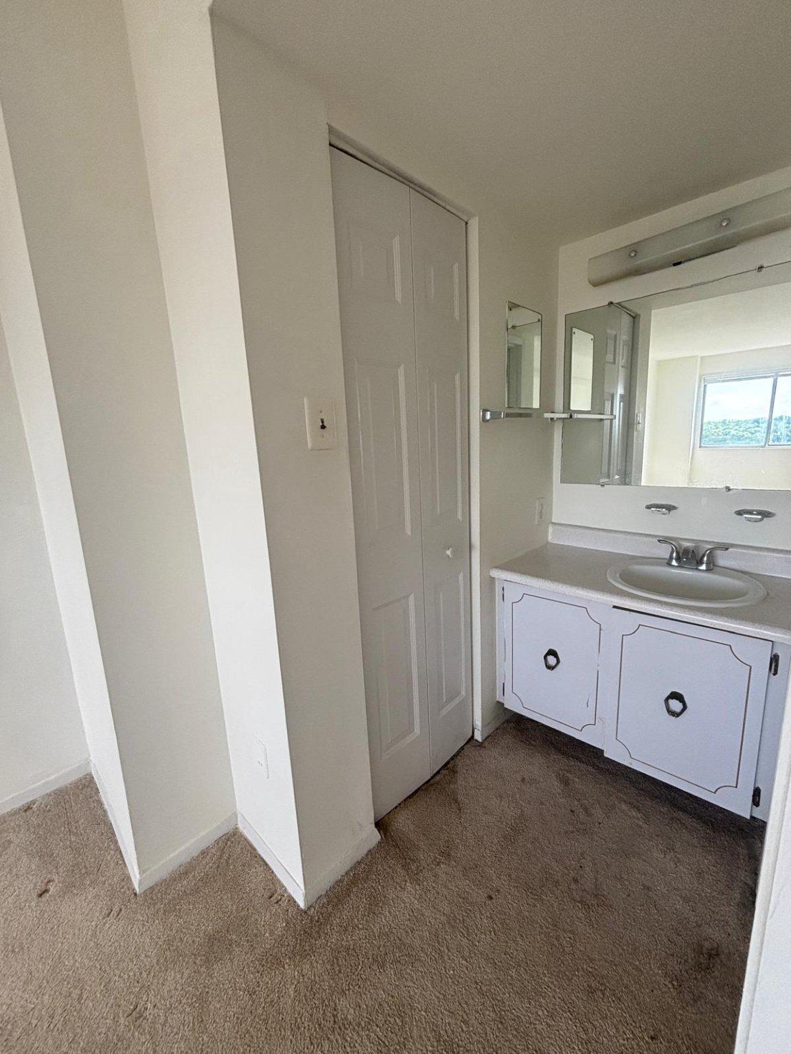1836 Metzerott Road, Unit 1720 Hyattsville, MD 20783 - Photo 17 of 35 separate Vanity next to full closet and main bath