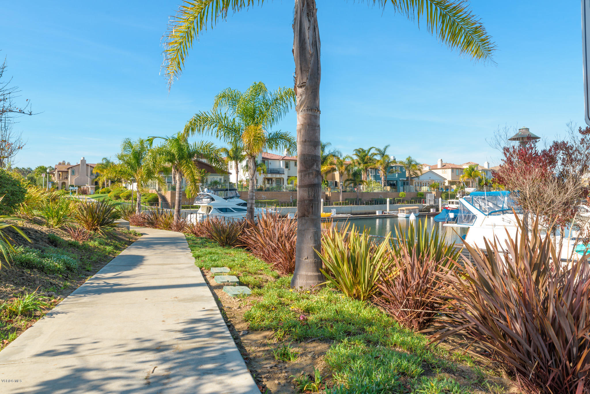 433 Percy Street Oxnard, CA 93033 - Photo 26 of 26 a view of a lake with a large trees