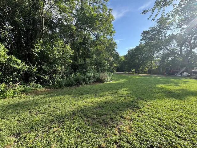 a view of a field with a tree