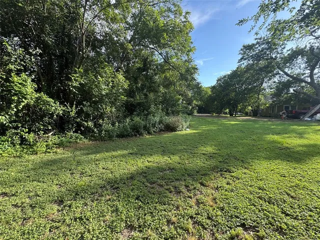 a view of a grassy field with trees