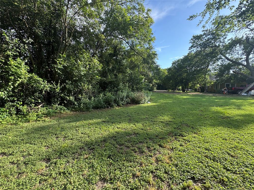 3217 North 27th Street Waco, TX 76708 - Photo 4 of 15 View of grassy yard