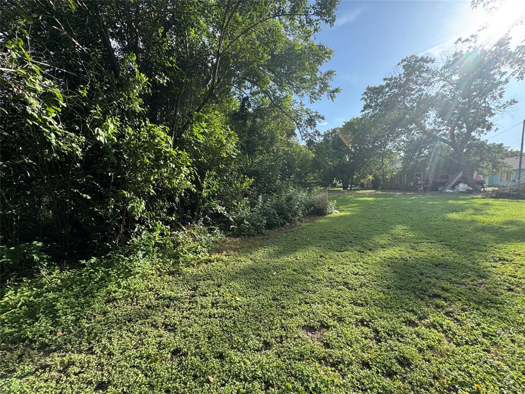 3217 North 27th Street Waco, TX 76708 - Photo 6 of 15 View of grassy yard