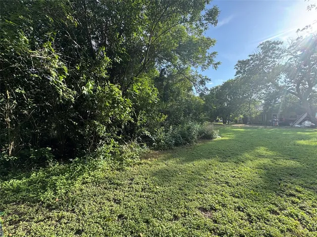 a view of a lush green space