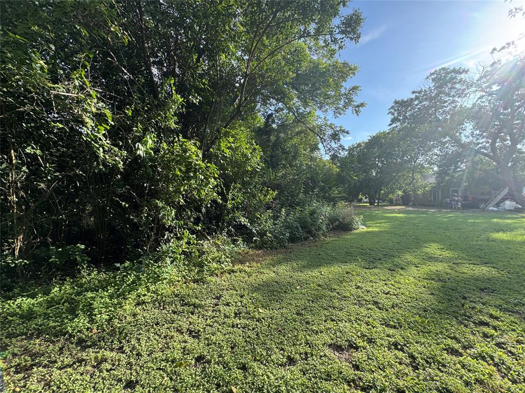 3217 North 27th Street Waco, TX 76708 - Photo 7 of 15 View of grassy yard