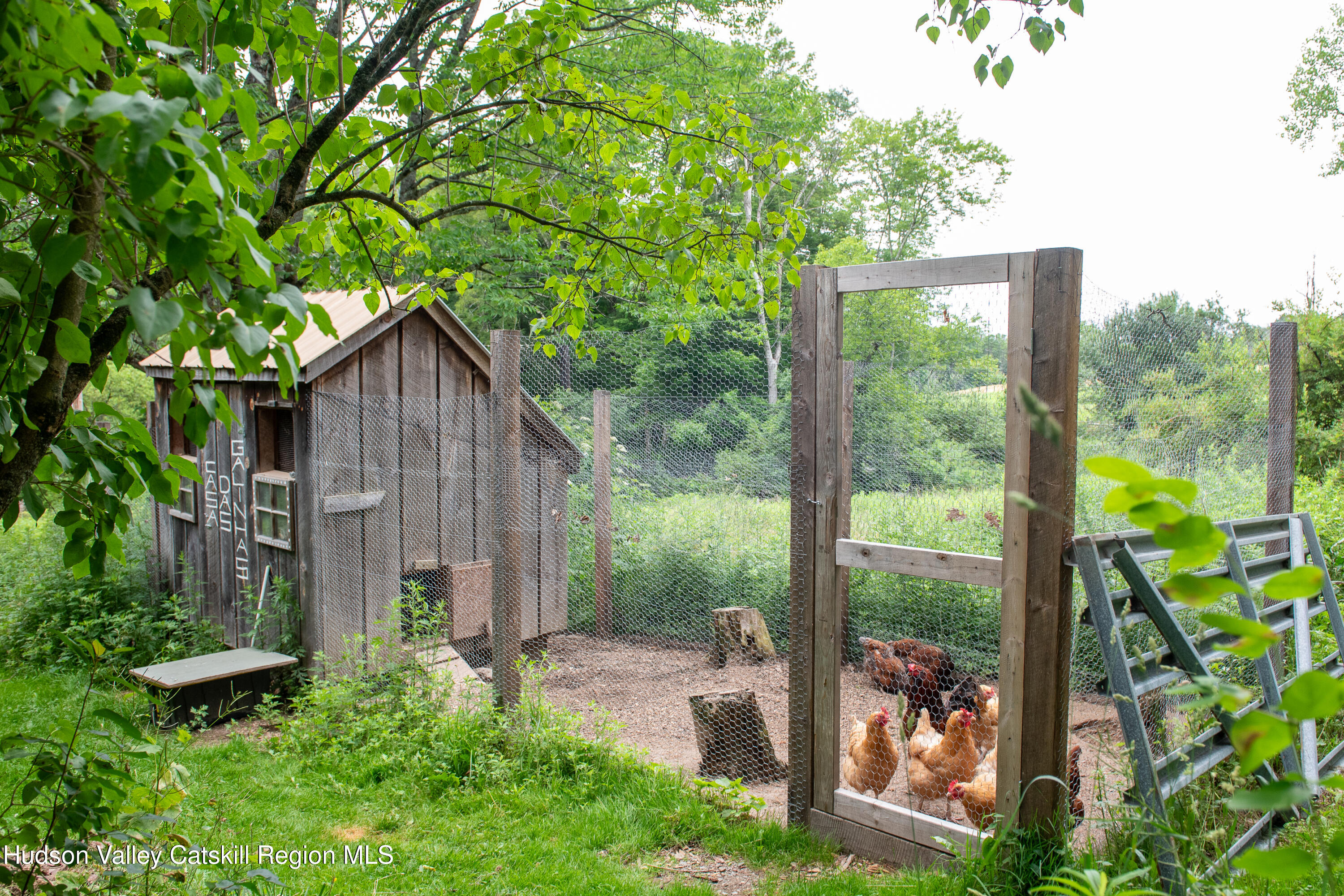 61 Schoolhouse Road New Lebanon, NY 12125 - Photo 22 of 23 joannarrudaphotography-072