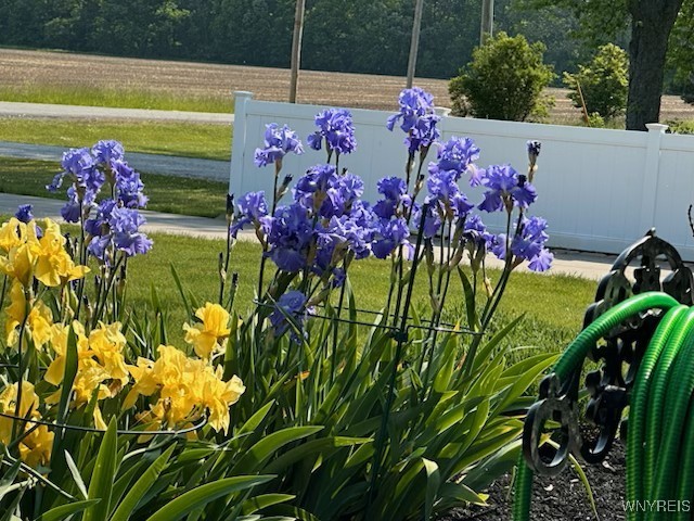 2842 Braley Road Wilson, NY 14131 - Photo 40 of 43