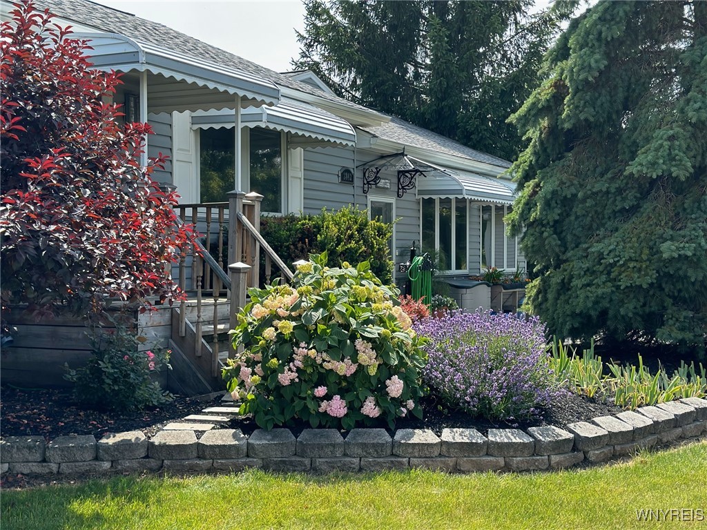 2842 Braley Road Wilson, NY 14131 - Photo 6 of 43 In full bloom!