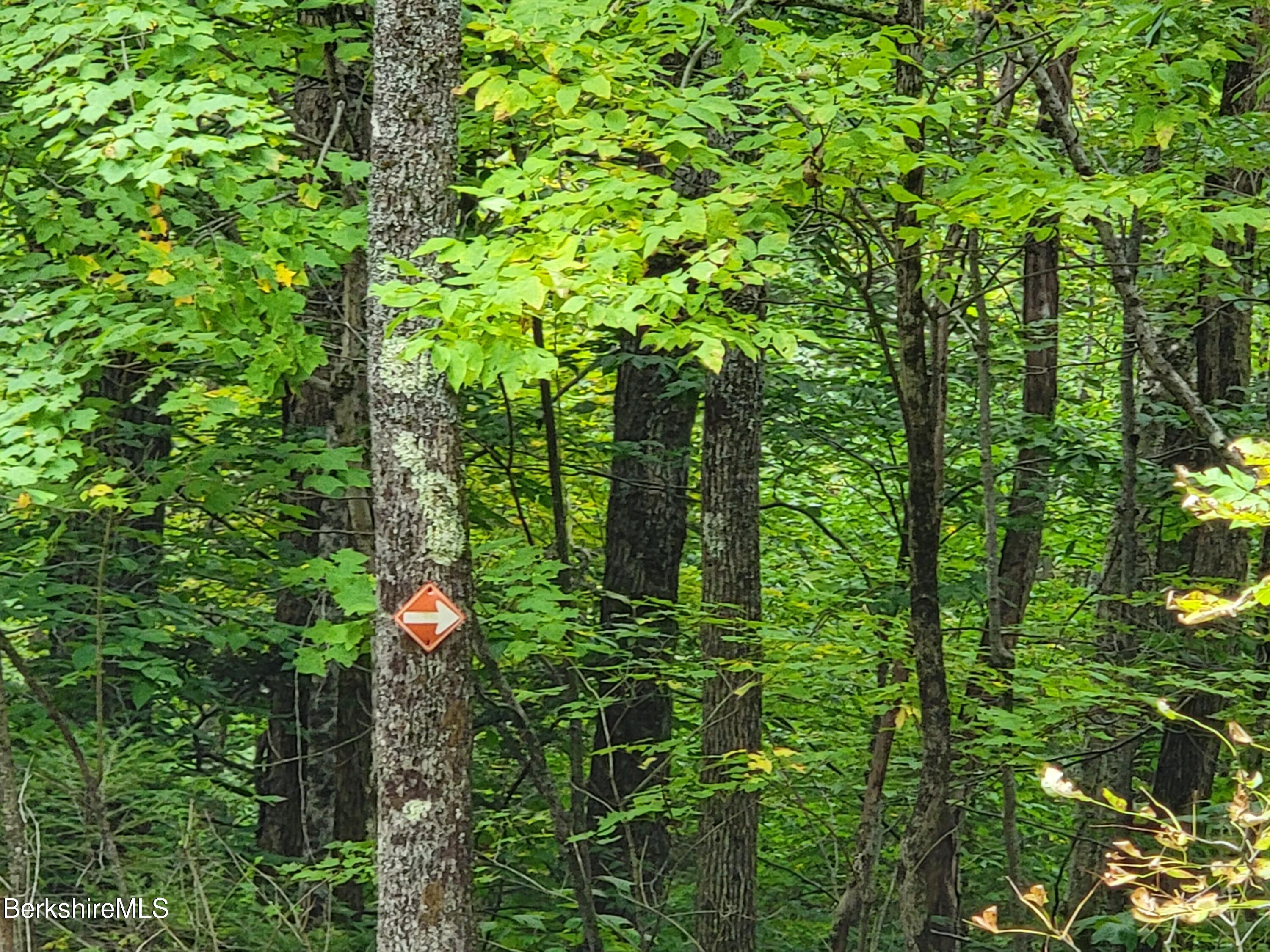 661 Main Road Savoy, MA 01256 - Photo 19 of 24 Snowmobile Trail very close by