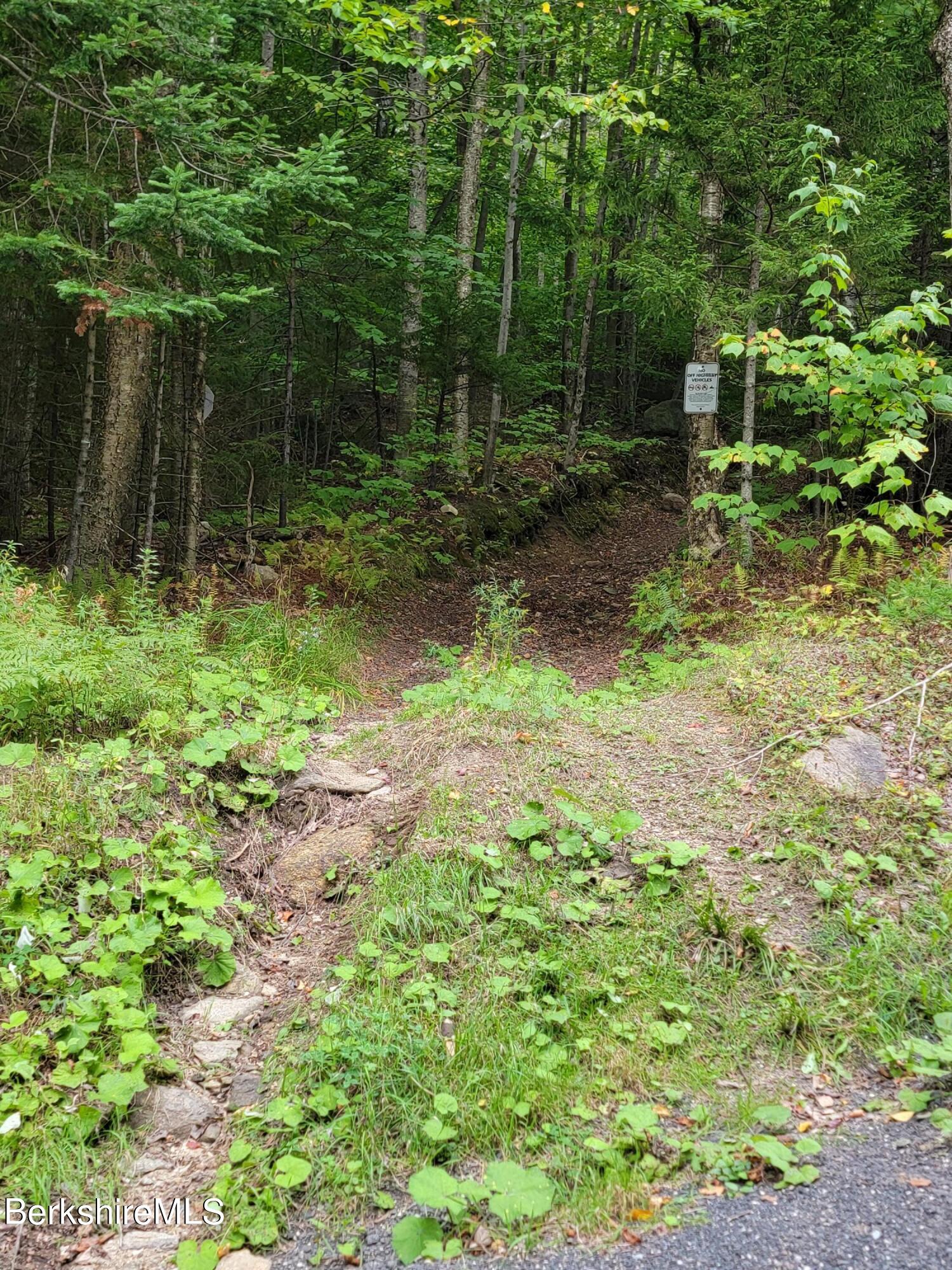 661 Main Road Savoy, MA 01256 - Photo 20 of 24 State Land hiking trails very close by