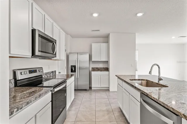 $2,700 | 30753 Penny Surf Loop, Wesley Chapel, FL 33545