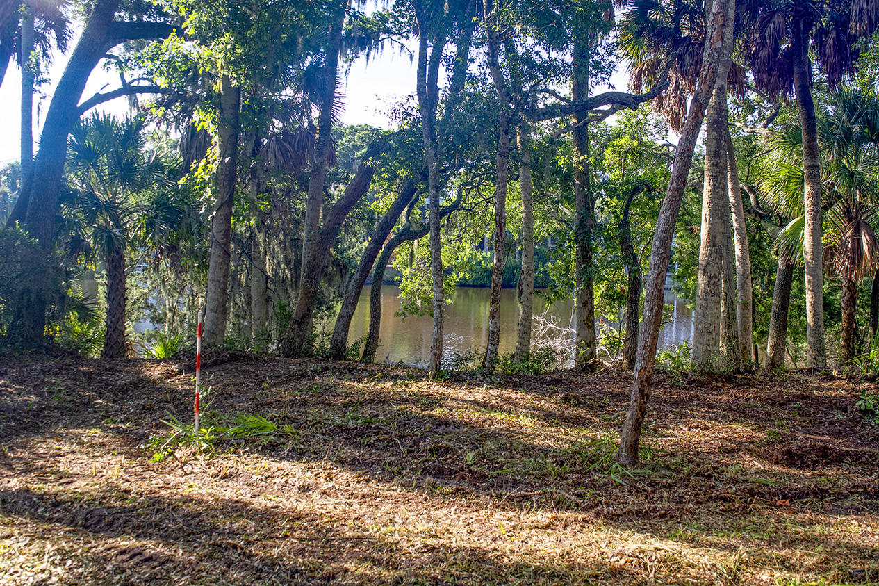 714 Jungle Road Edisto Island, SC 29438 - Photo 3 of 6 _DSC1089