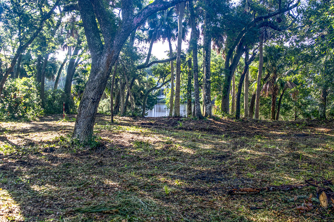 714 Jungle Road Edisto Island, SC 29438 - Photo 4 of 6 _DSC1088