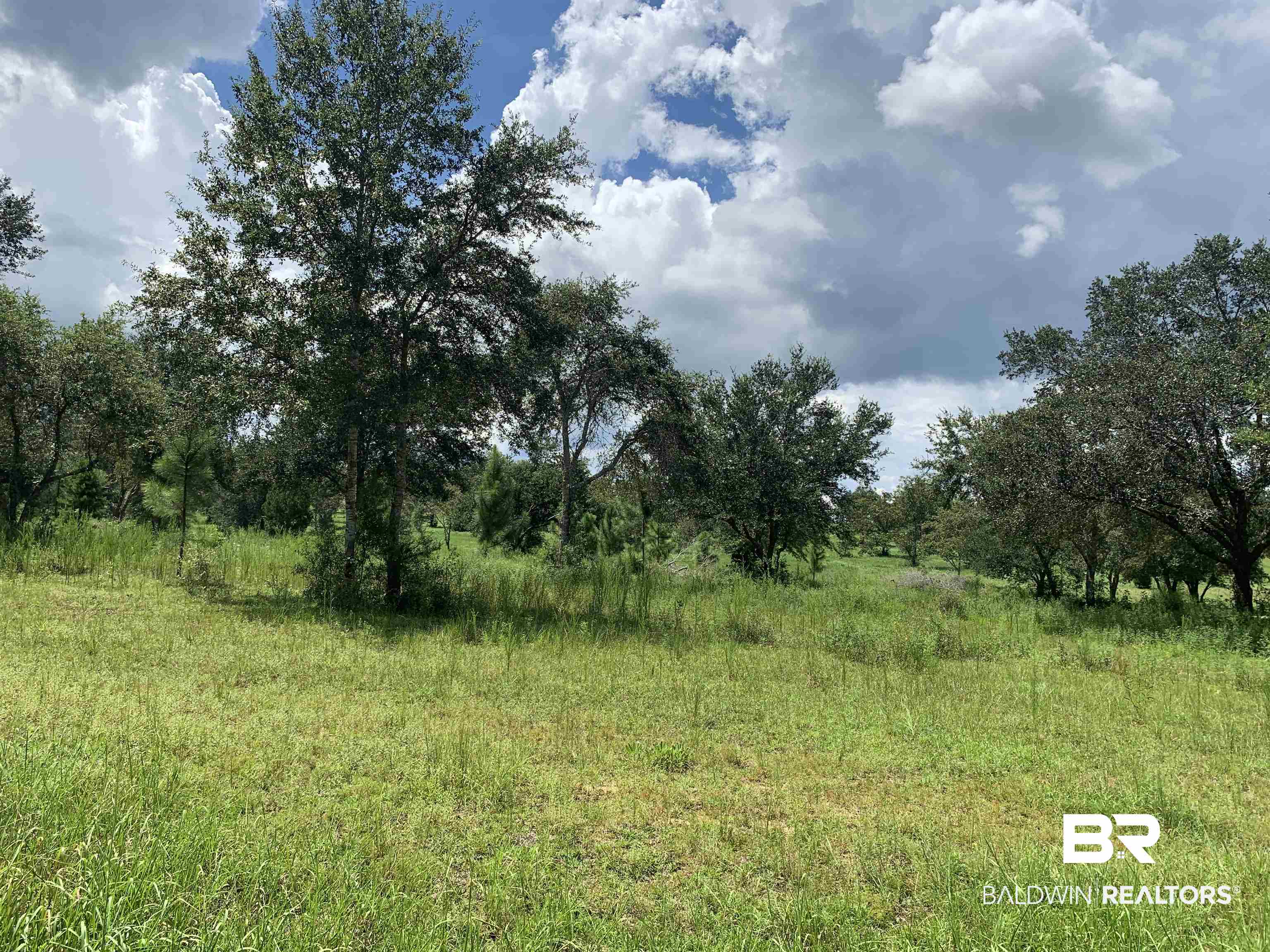 Woodhaven Dairy Road Summerdale, AL 36580 - Photo 5 of 10