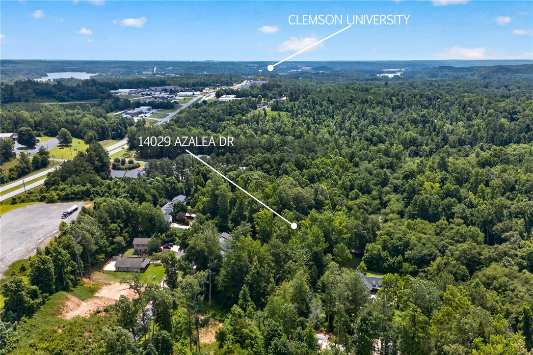 14029 Azalea Drive Seneca, SC 29678 - Photo 45 of 50