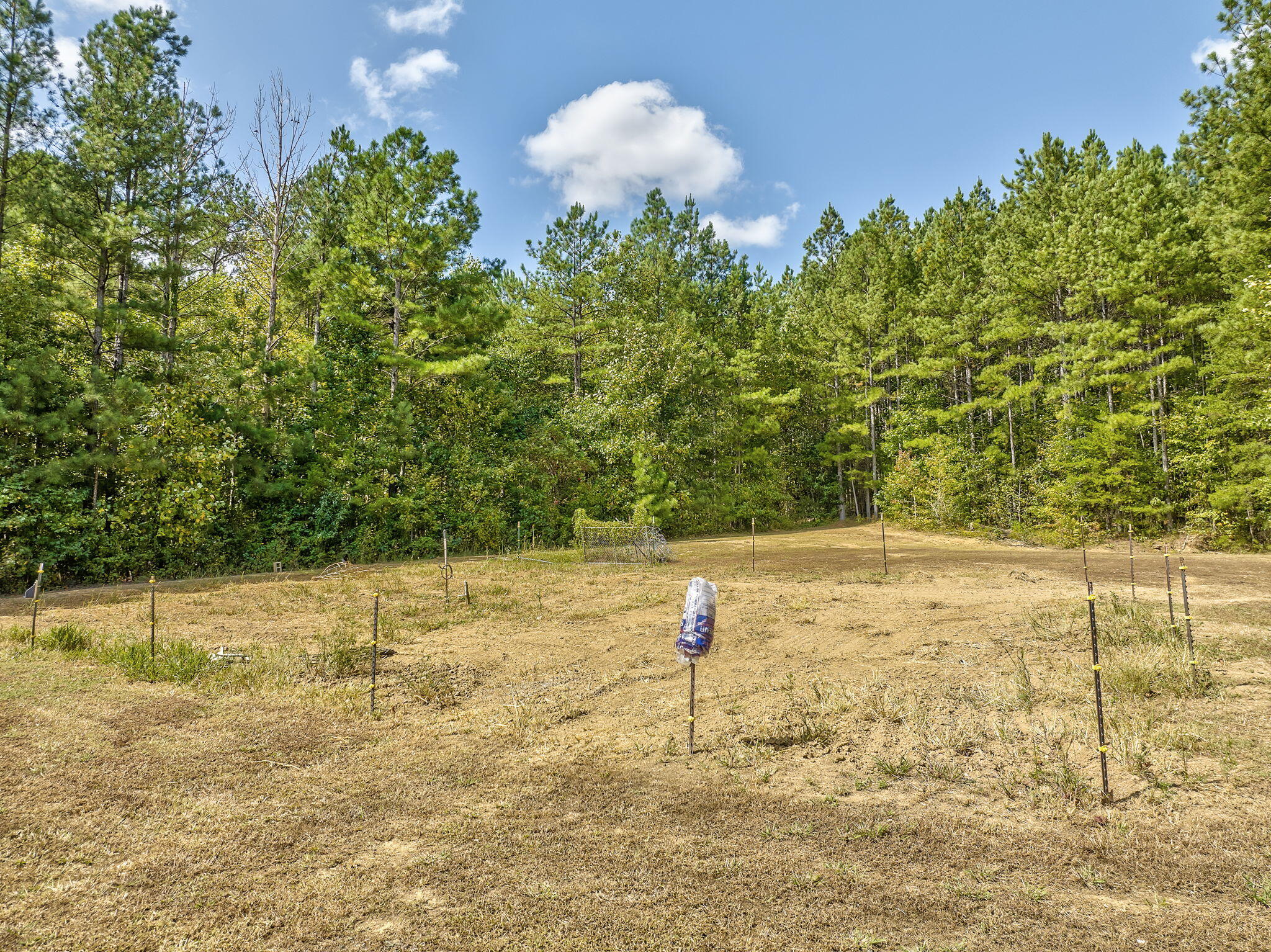 1652 Trickum Road Rocky Face, GA 30740 - Photo 12 of 52 12-web-or-mls-DJI_0086_7_8