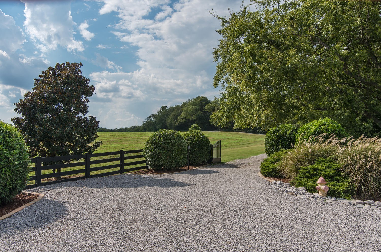 a view of outdoor space and yard
