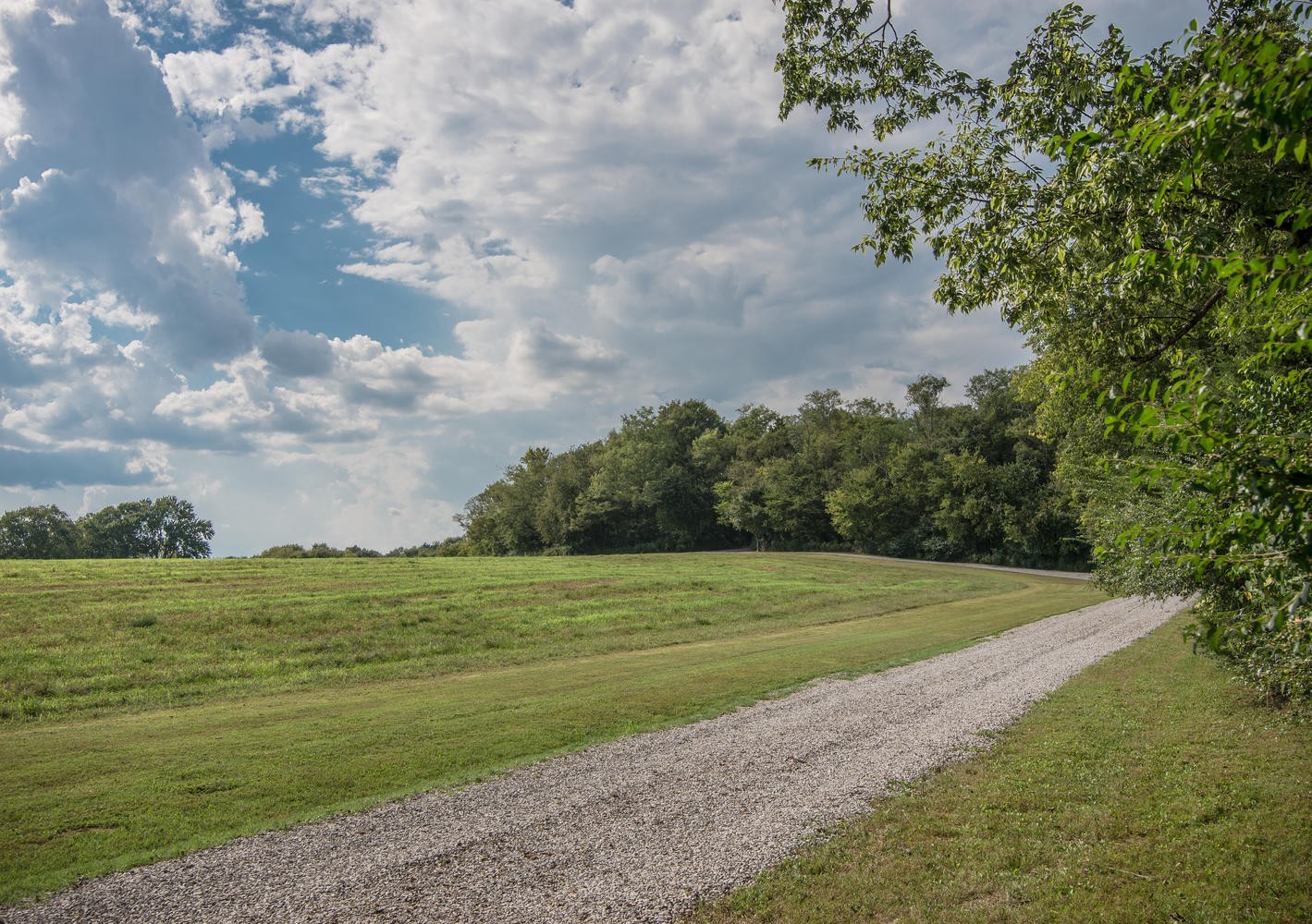 1091 Tulloss Road Franklin, TN 37067 - Photo 3 of 52 a view of a field with an trees