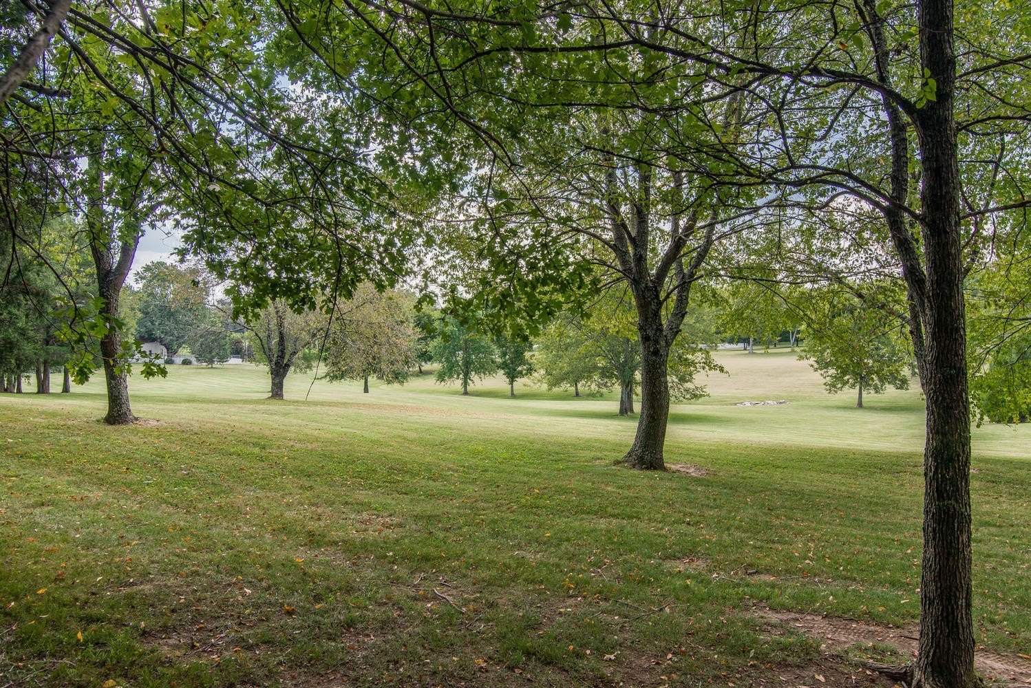 1091 Tulloss Road Franklin, TN 37067 - Photo 49 of 52 a view of outdoor space with trees all around
