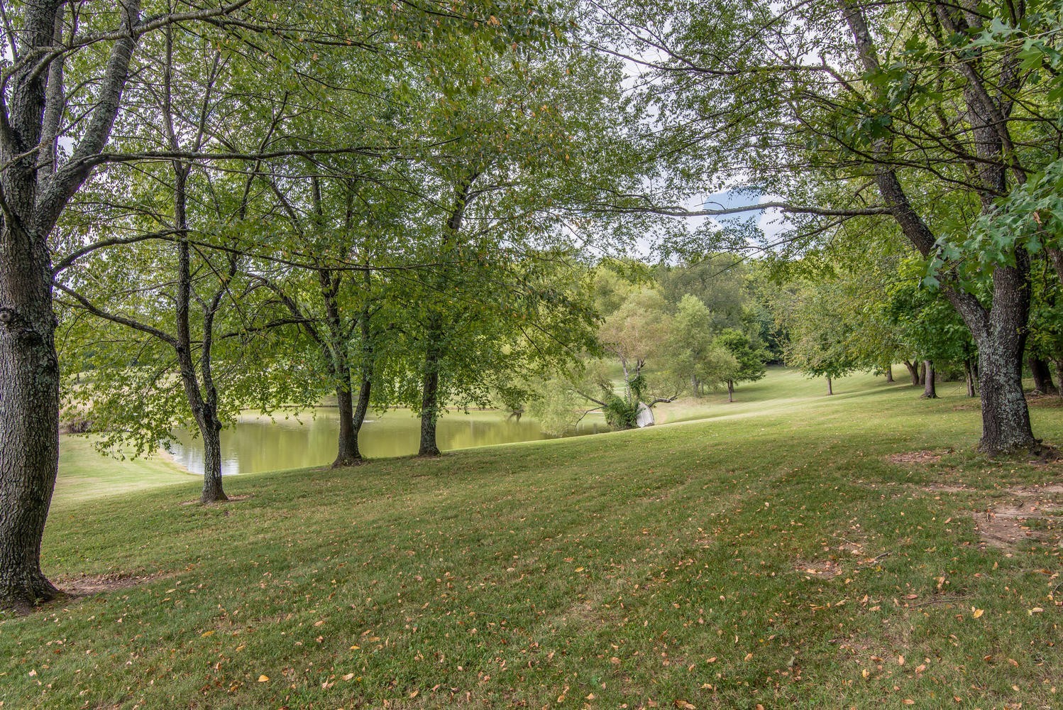 1091 Tulloss Road Franklin, TN 37067 - Photo 50 of 52 a view of a yard with a tree