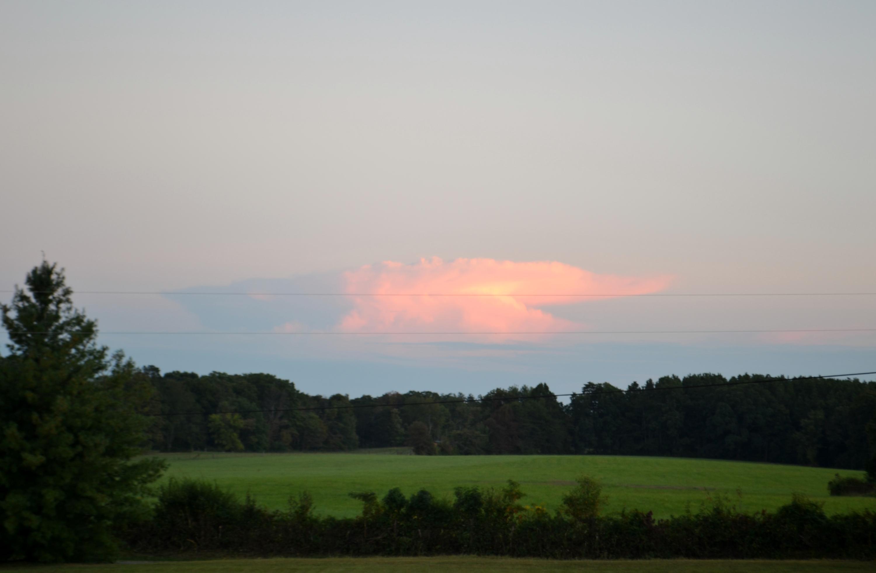 2297 Brayton Road Graysville, TN 37338 - Photo 5 of 56 DSC_0183
