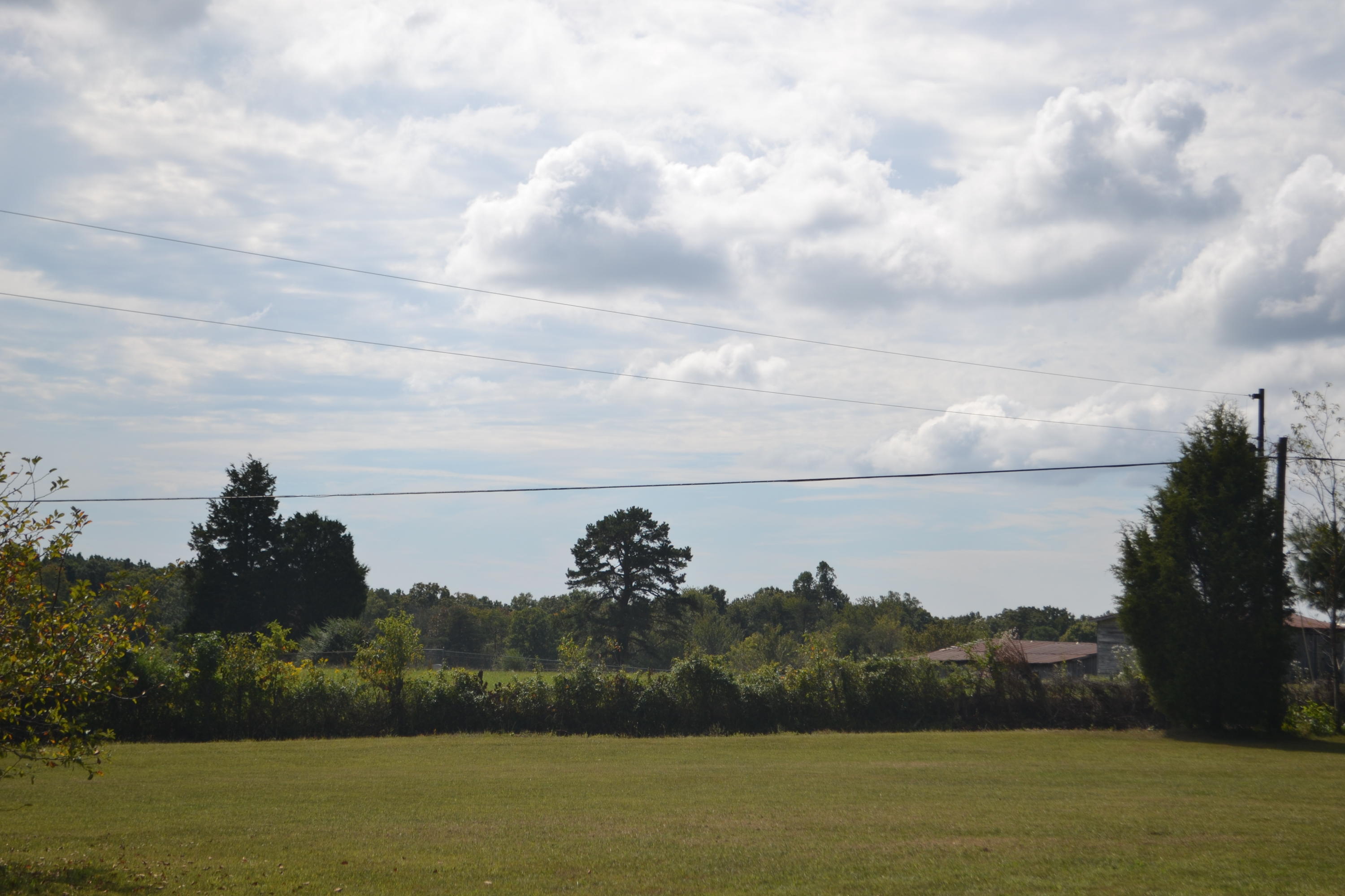 2297 Brayton Road Graysville, TN 37338 - Photo 54 of 56 DSC_0006