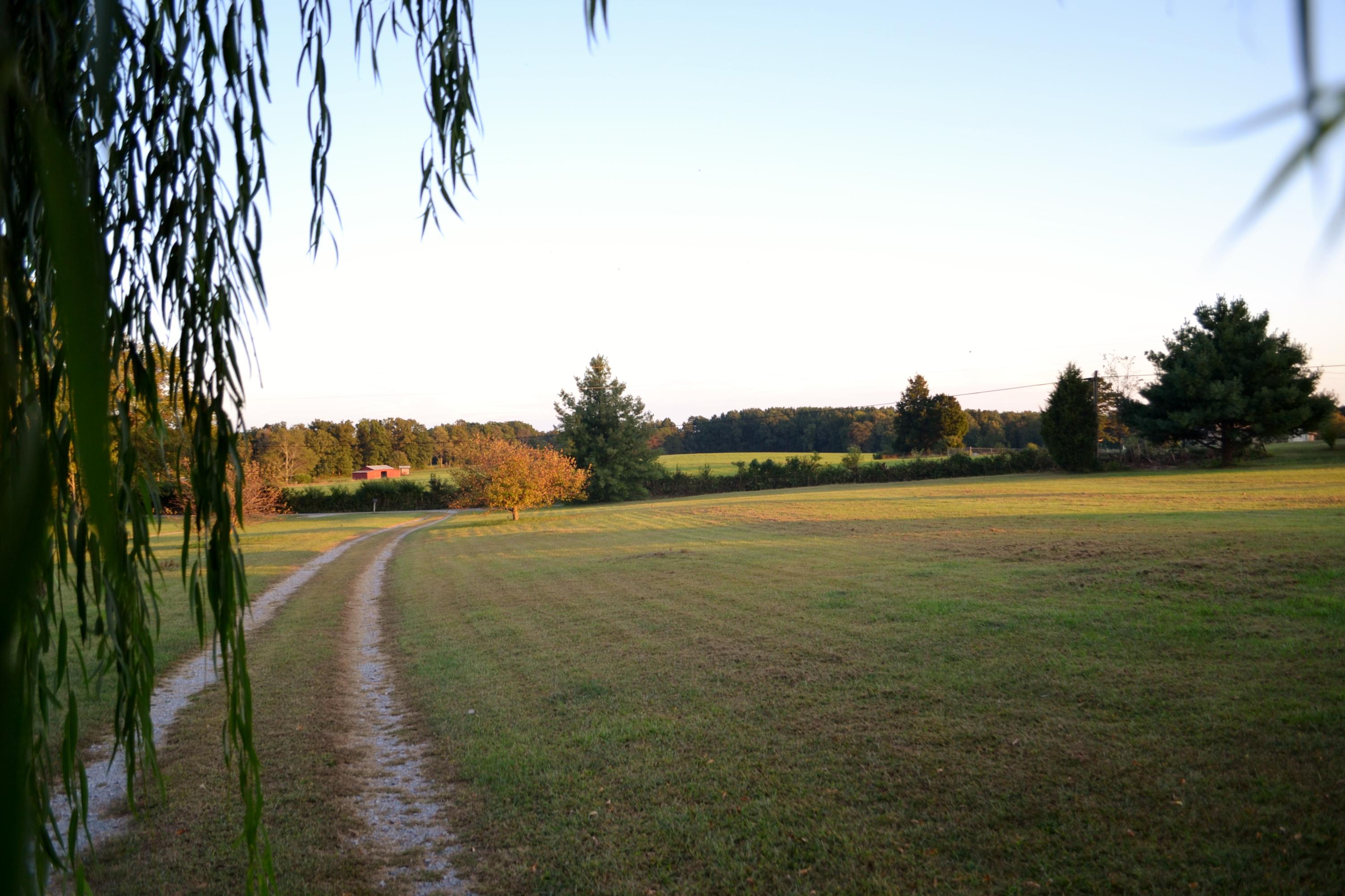 2297 Brayton Road Graysville, TN 37338 - Photo 7 of 56 DSC_0145