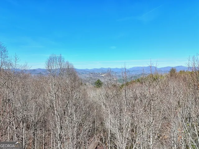 $495,000 | 0 Brighton Drive, Unit LOTS 20 & 21, Tiger, GA 30576