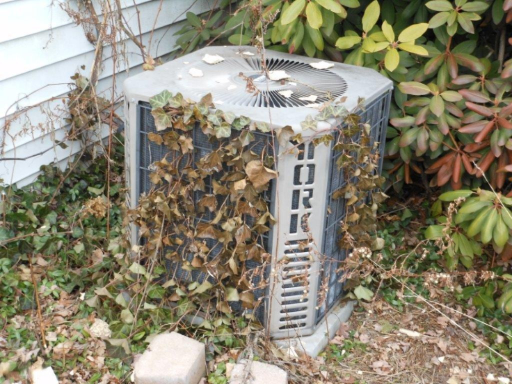 8800 Ellis Road Ravenna, MI 49451 - Photo 22 of 29 044