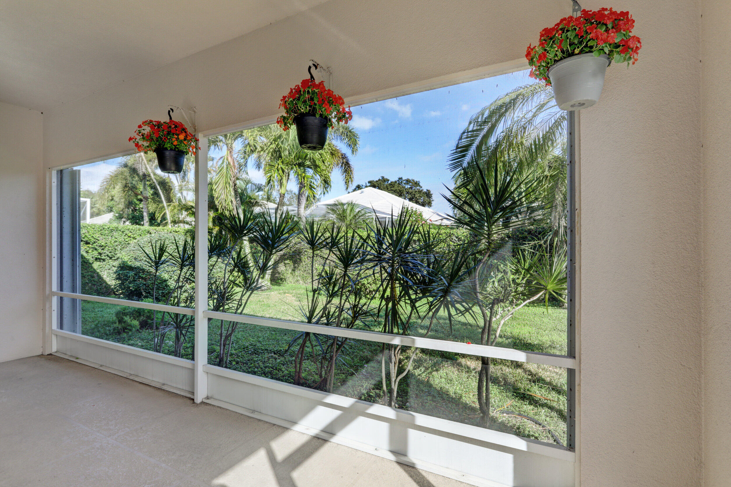 8452 Beaconhill Road Palm Beach Gardens, FL 33410 - Photo 30 of 40 a view of a potted plant in front of a window