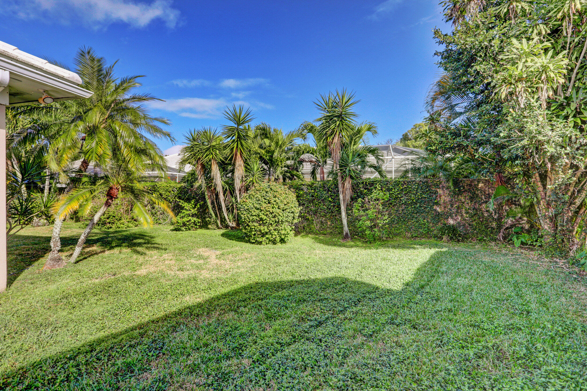 8452 Beaconhill Road Palm Beach Gardens, FL 33410 - Photo 34 of 40 a view of a yard with a tree