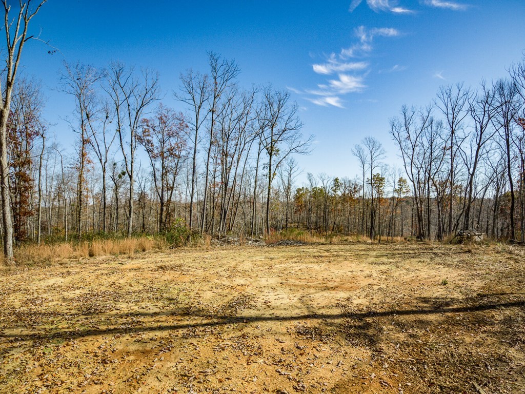 8 Back Bone Road Sparta, TN 38583 - Photo 17 of 41 a view of a yard with trees
