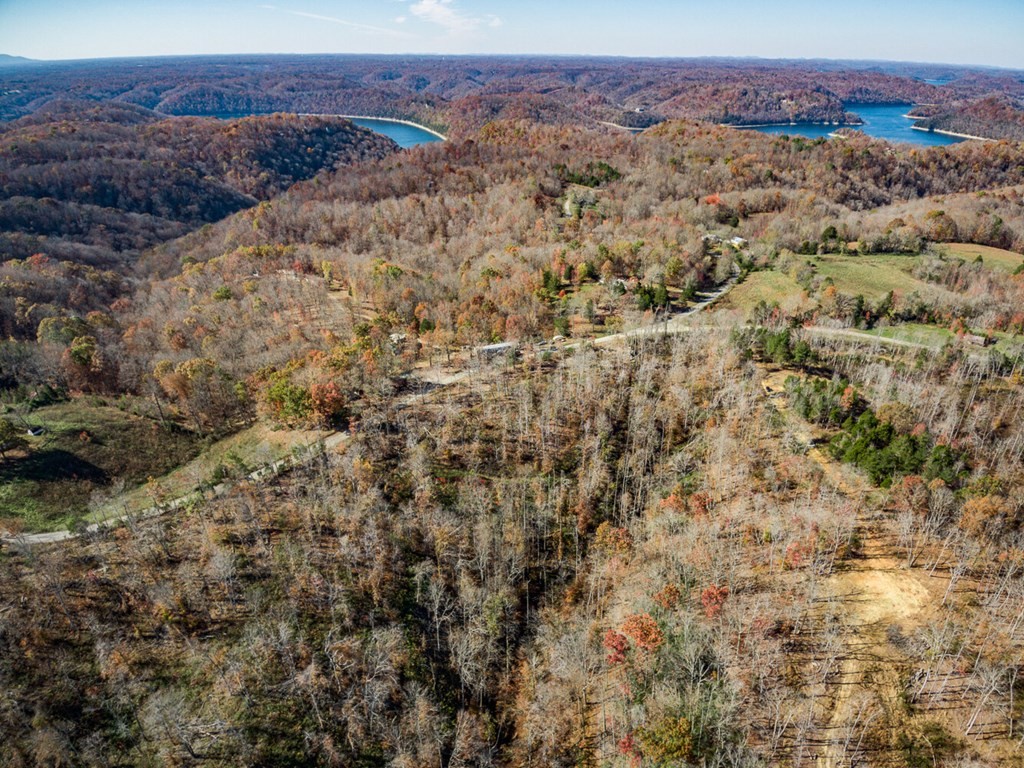 8 Back Bone Road Sparta, TN 38583 - Photo 29 of 41 a view of a forest
